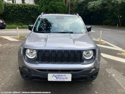 Jeep RENEGADE 1.8 FLEX 2019/2020